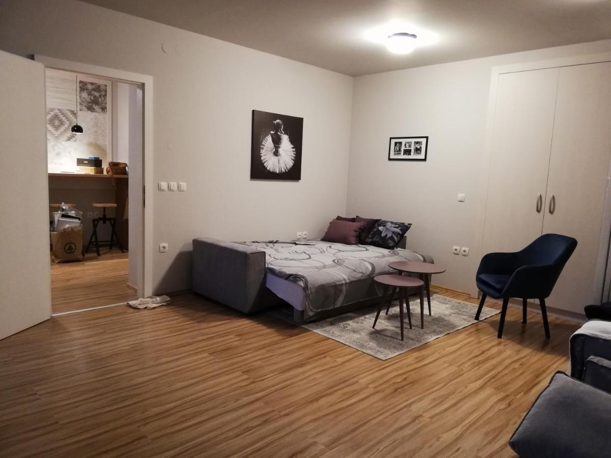 Apartment Nobl Plac Celje Extérieur photo